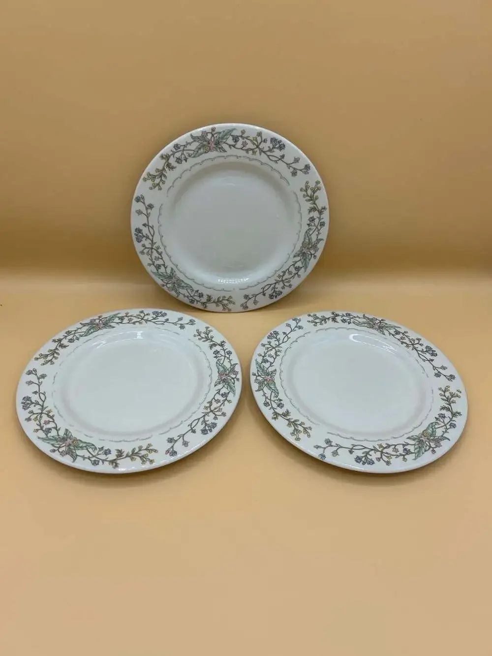 Farberware Fine China Wellesley 486 Teacup and Saucer Set